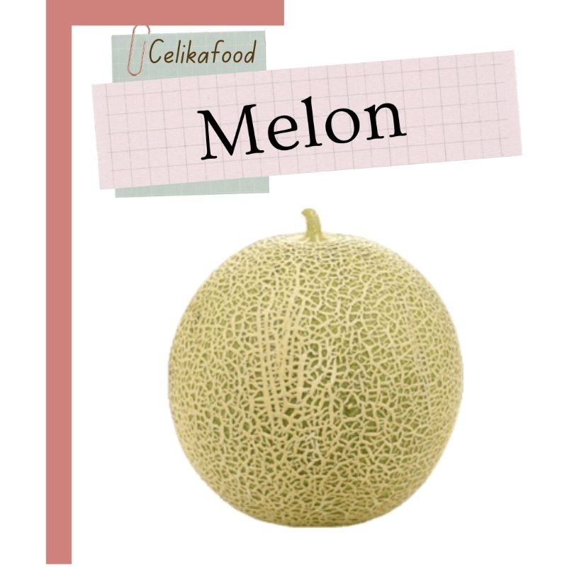 

Buah Melon Utuh Fresh Fruit