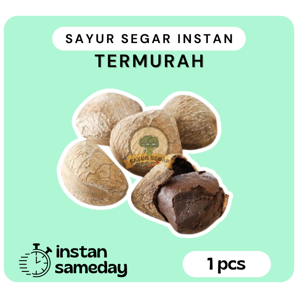 

Kluwek/Picung/Pucung 1pcs - Sayur Segar Instan