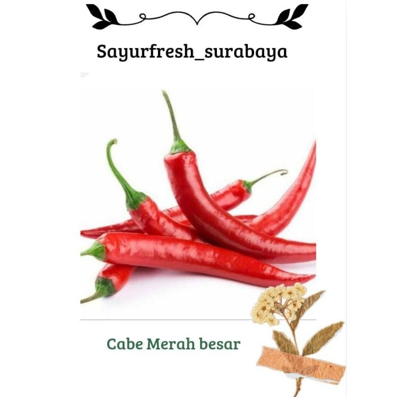 

Cabe merah besar 100gr / 250gr/ 500gr /1kg