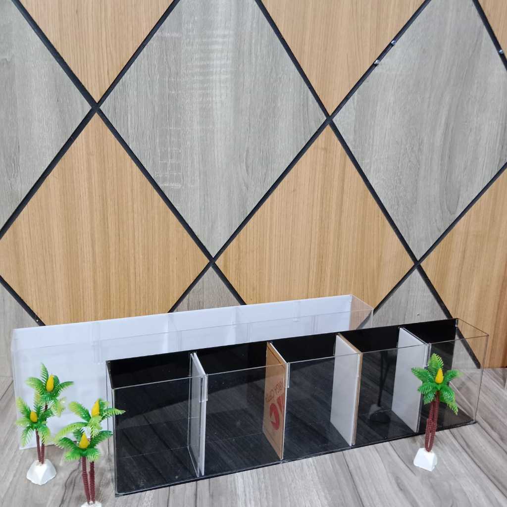 Akuarium Cupang Sekat 5 Kamar 40 x 6 x 12 cm Bahan Akrilik Soliter Cupang Box Serbaguna