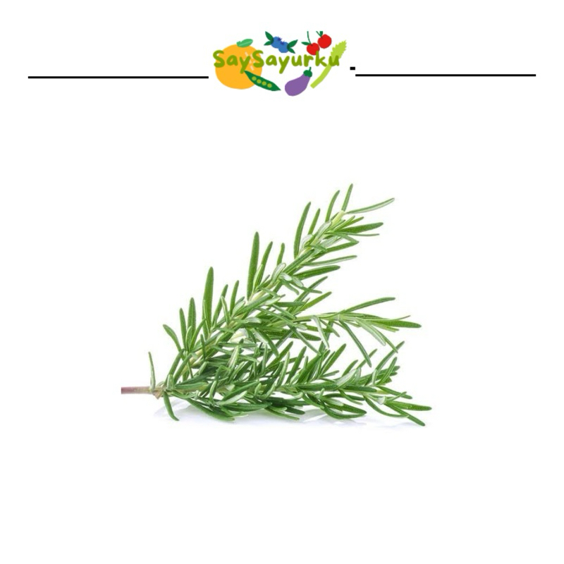 

ROSEMARY DAUN SAYUR 1 PACK
