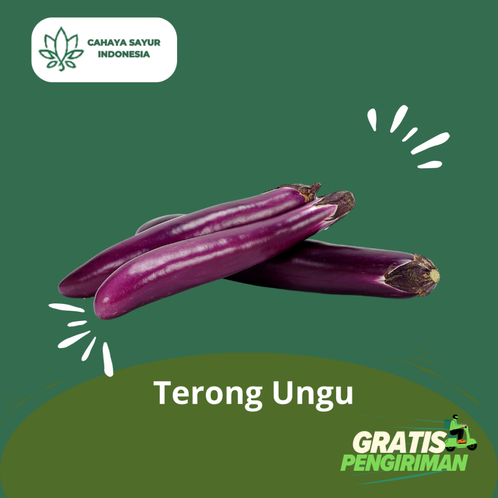 

Terong Ungu / Terung Ungu / Eggplant Segar 1KG