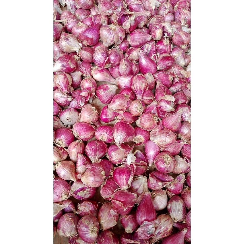 

Bawang berebes super 5 kg kering