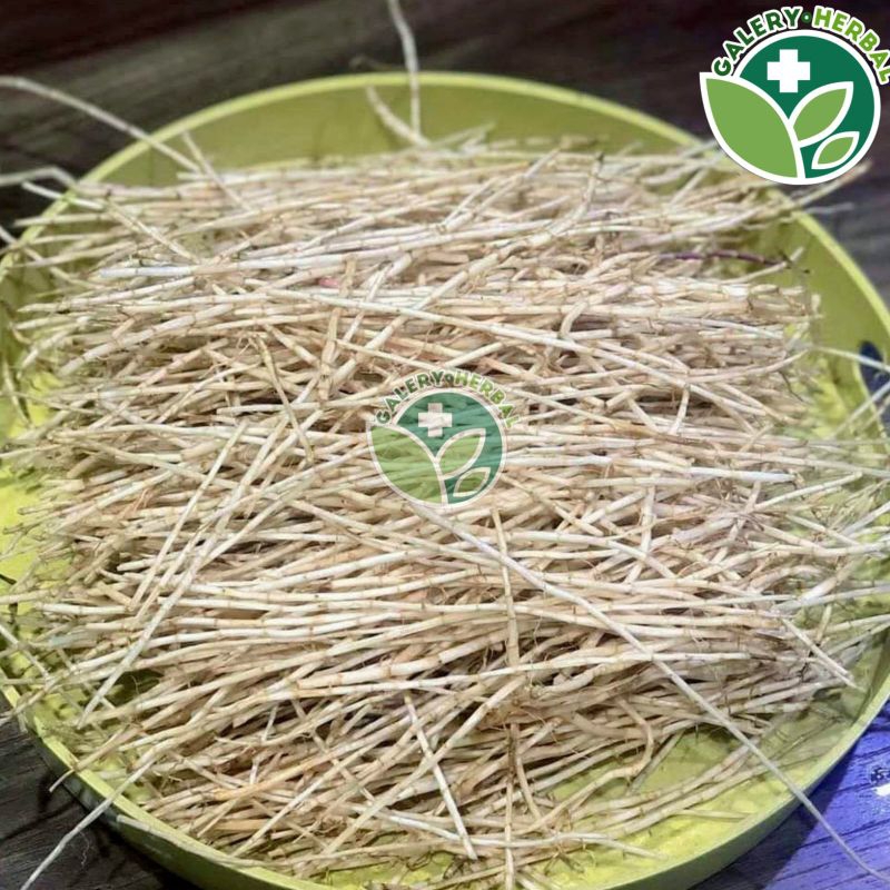 

Alang-alang Segar 1KG Diambil dan Dikemas Setelah Anda Order / Akar Alang-alang