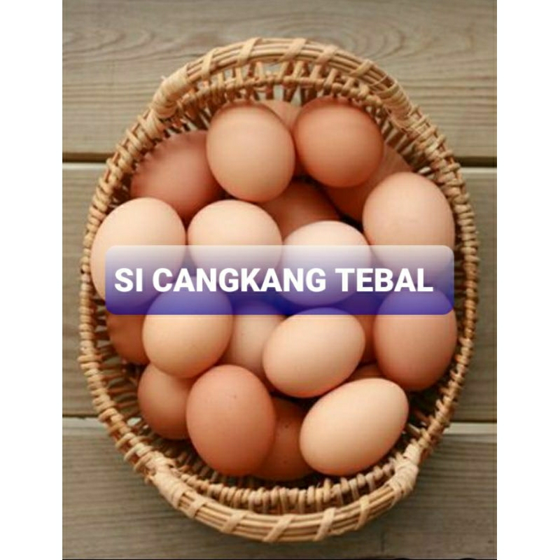 

Telur ayam negri fresh/Garanti fresh