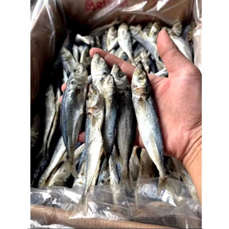 

ORIGINAL IKAN ASIN REBUS LAYANG-LAYANG BERAT BERSIH 500G