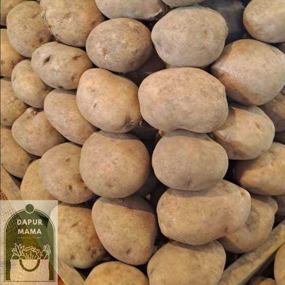 

Kentang Dieng Super 500 gr