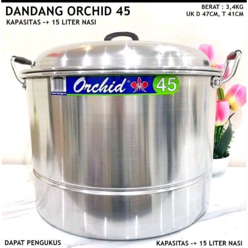Dandang Orchid
