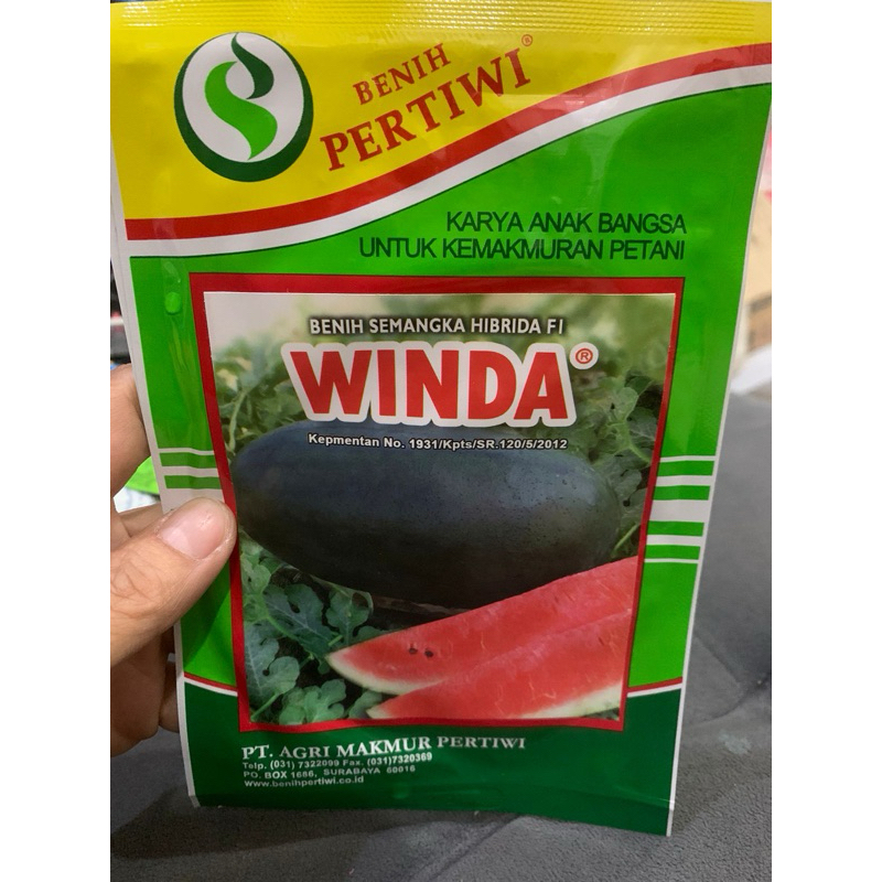 Benih semangka WINDA 20 gram semangka inul hibrida winda f1 20gr semangka merah winda dari benih per
