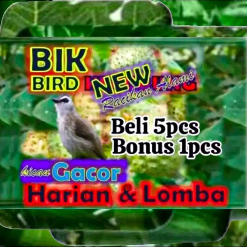 Trucukan Gacor Ropel. New Doping Herbal Burung Trucuk Rajin Bunyi.