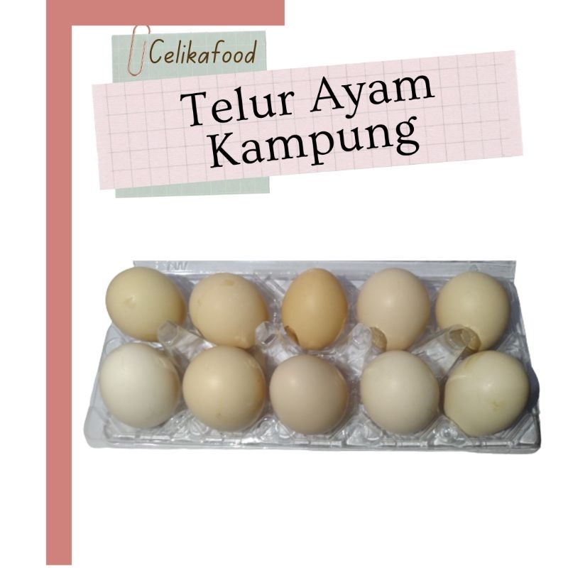 

Telur Ayam Kampung 1pcs Telor Egg Fresh