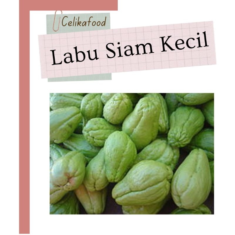 

Labu Siam Kecil 250gr Waluh Jipang Lalap Lalaban Sayur Sayuran Fresh Vegetable