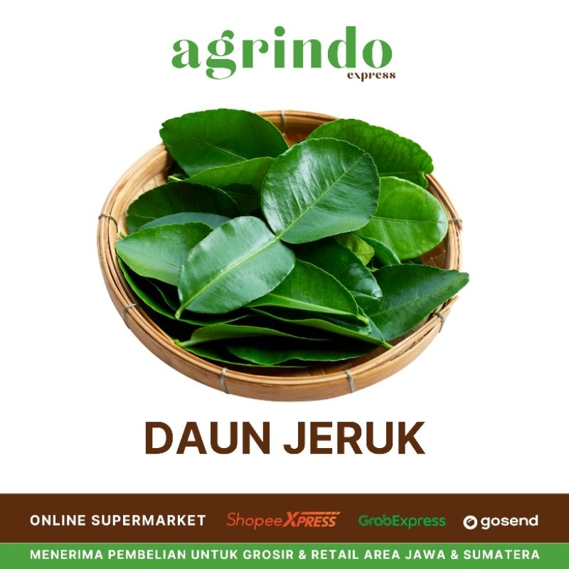 

Daun Jeruk