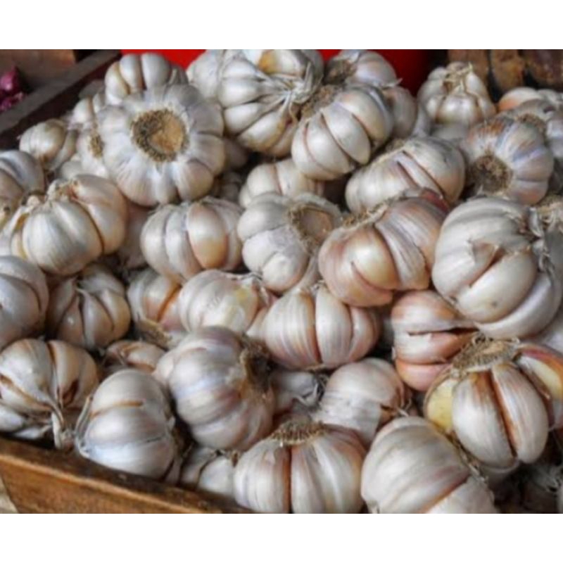 

bawang putih bersih 1kg