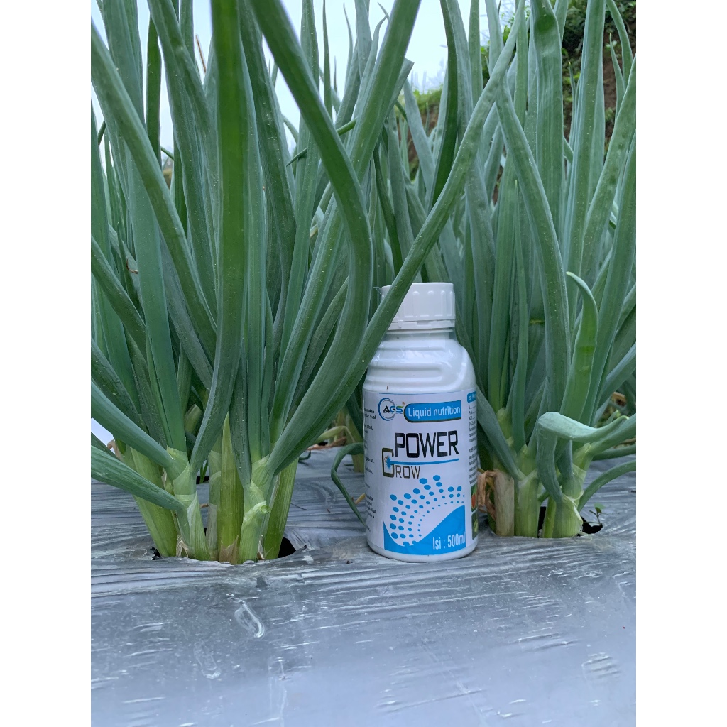 Power grow liquid nutrisi 500ml