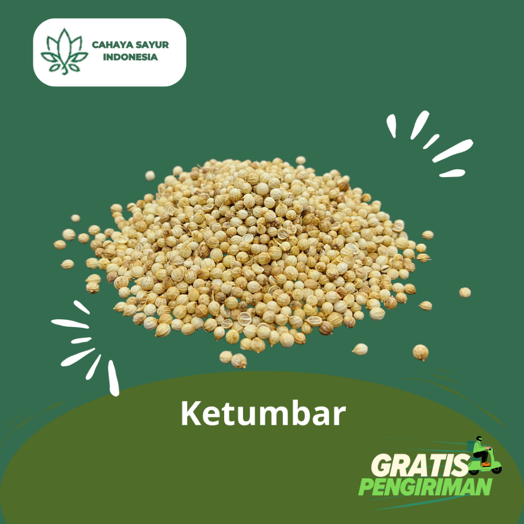 

Ketumbar / Ketumbar Rempah Bumbu Masak/ Ketumbar Asli 1kg + Gratis Ongkir