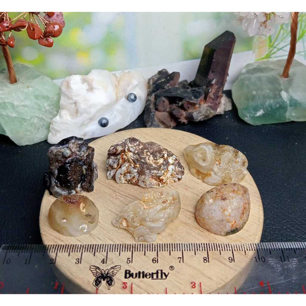 Natural Geode Agate Madagascar Paket (6)
