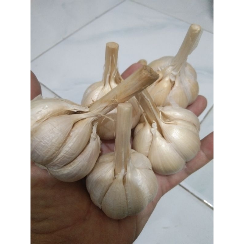 

BAWANG PUTIH KATING 1/2 kg 21.000 Murah