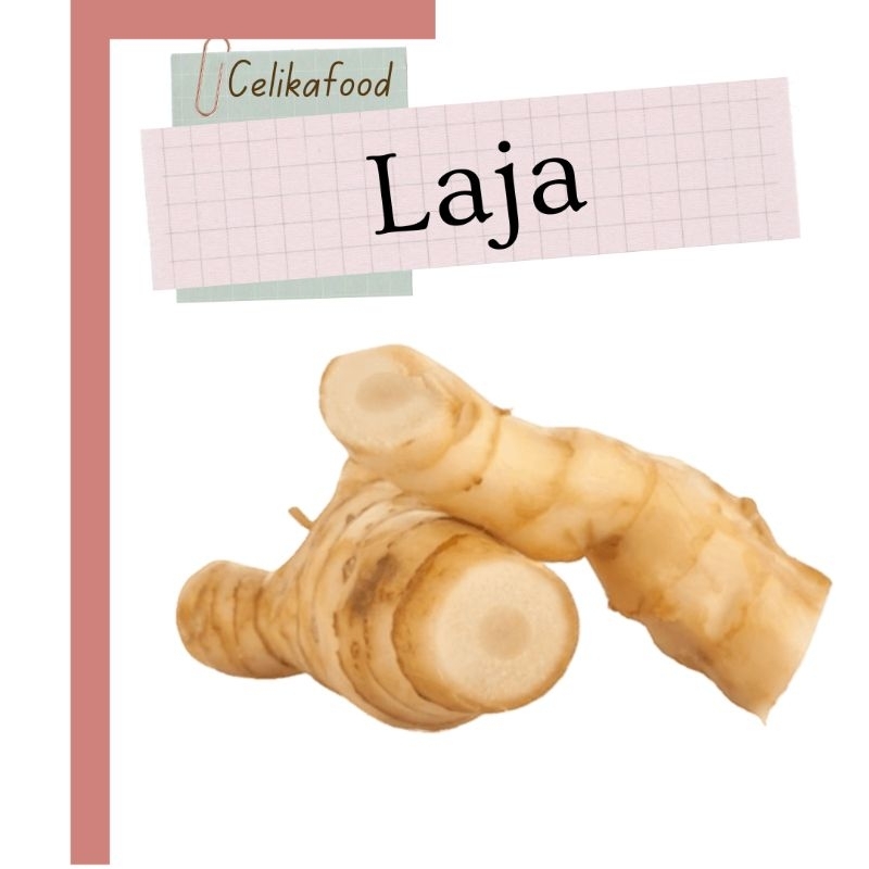 

Laja 100gr Lengkuas Putih Laos Kelawas Bumbu Rempah Masakan