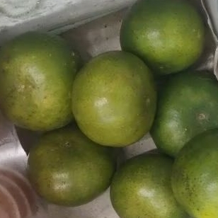 

JERUK SEMBORO MANIS MURAH MERIAH 10KG