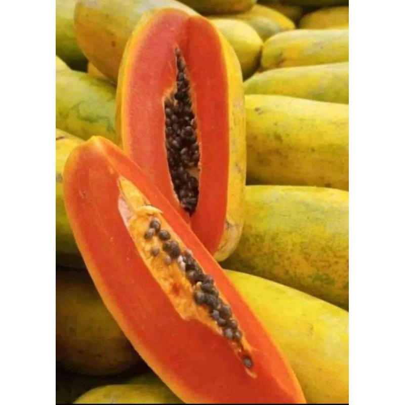 

BUAH PEPAYA CALIFORNIA SUPER 1 PCS