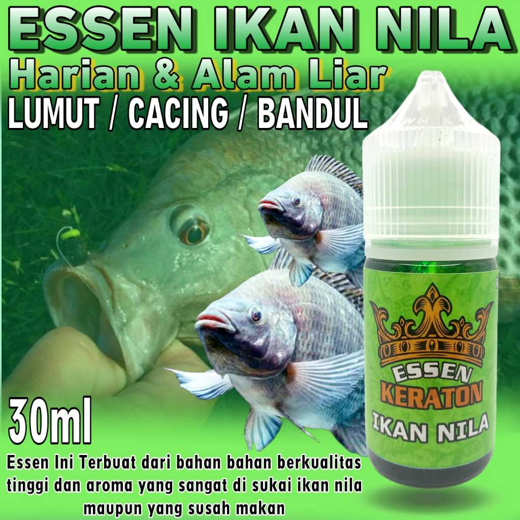 Essen Ikan Nila liar Essen Ikan Nila kolam Essen Ikan Nila Media Cacing Essen Ikan Nila Gacor Essen 