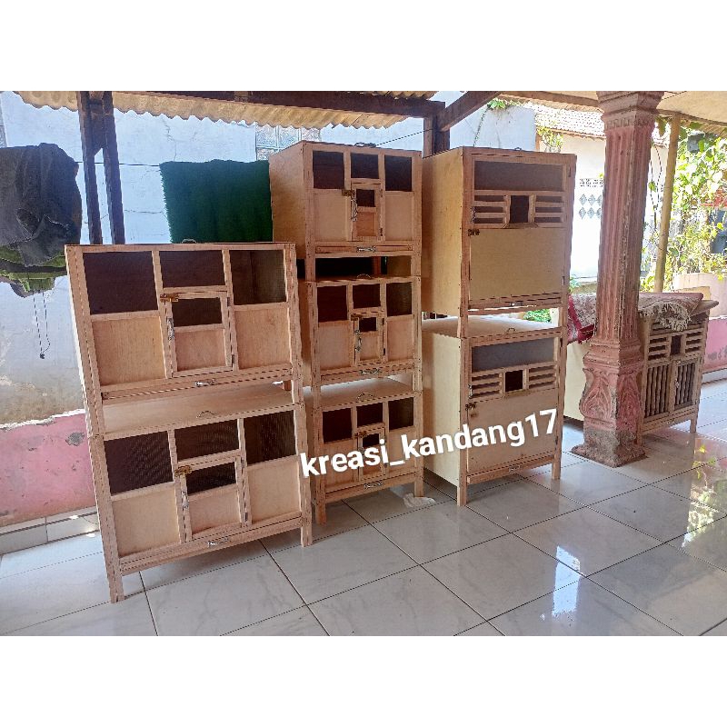 termurah kandang ayam / kandang doc / kandang ayam jago minimalis