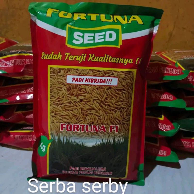 Benih Padi Hibrida FORTUNA SEED F1 1kg