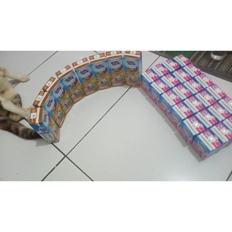 

Susu Sehat untuk anak anak