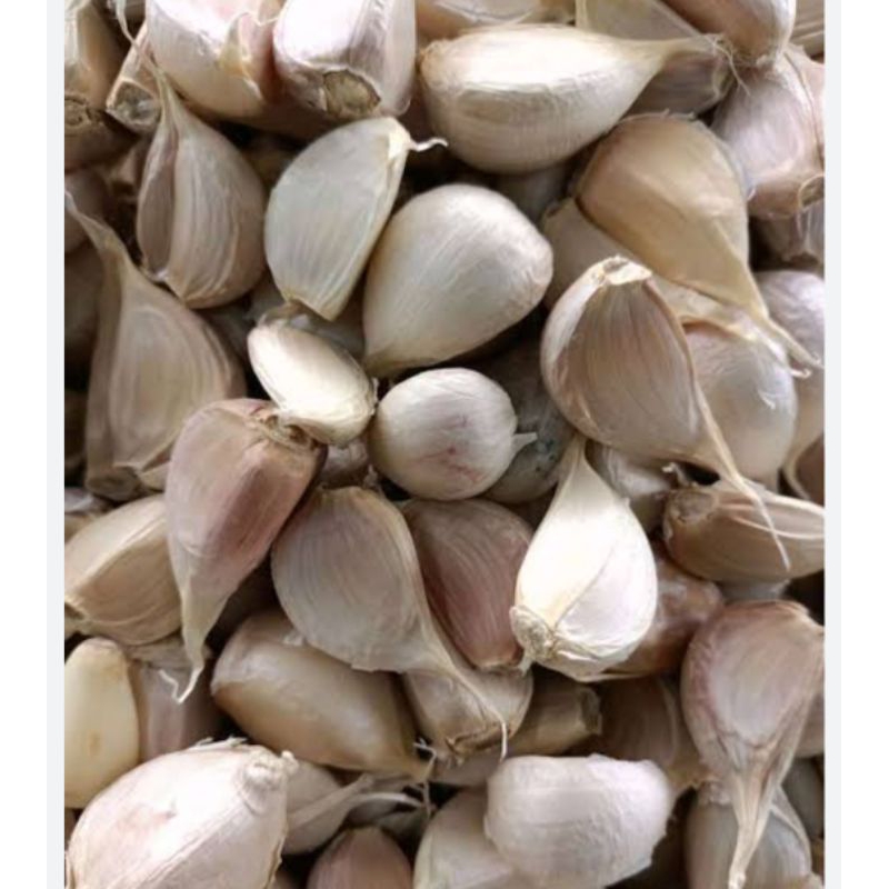 

Anakbawang75 Bawang Kating 500 Gram 1/2 Kg