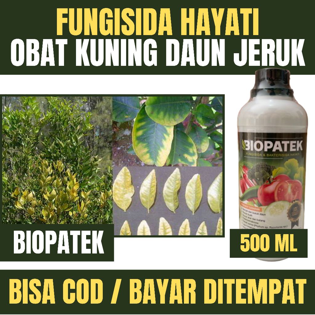 Biopatek Fungisida Hayati Obat Hama Penyakit Patek pada Cabe, Cabai Rawit Tomat Tanaman Lainnya