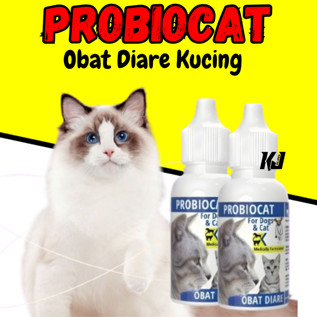 Obat Diare Kucing Obat Berak Darah Kucing PROBIOCAT