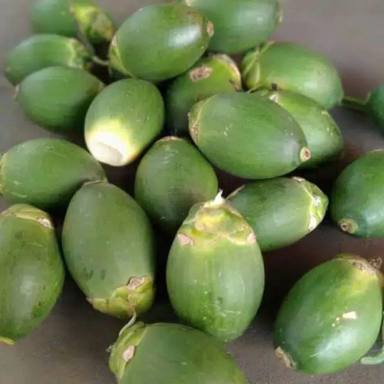 

Cashback Produk PINANG MUDAJAMBE MUDABIJIAN Rp 1 MINIMAL ORDER 1 BIJI1 kI