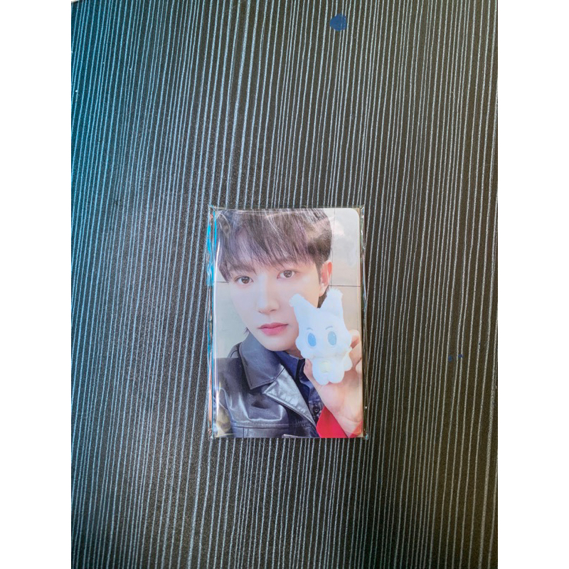 PC DOLL SCAPE RENJUN