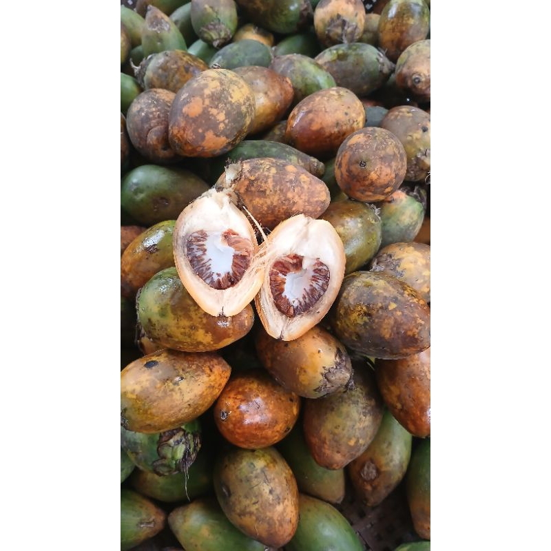 

Buah jambe tua/buah pinang/jebug/jambe tua 1kg