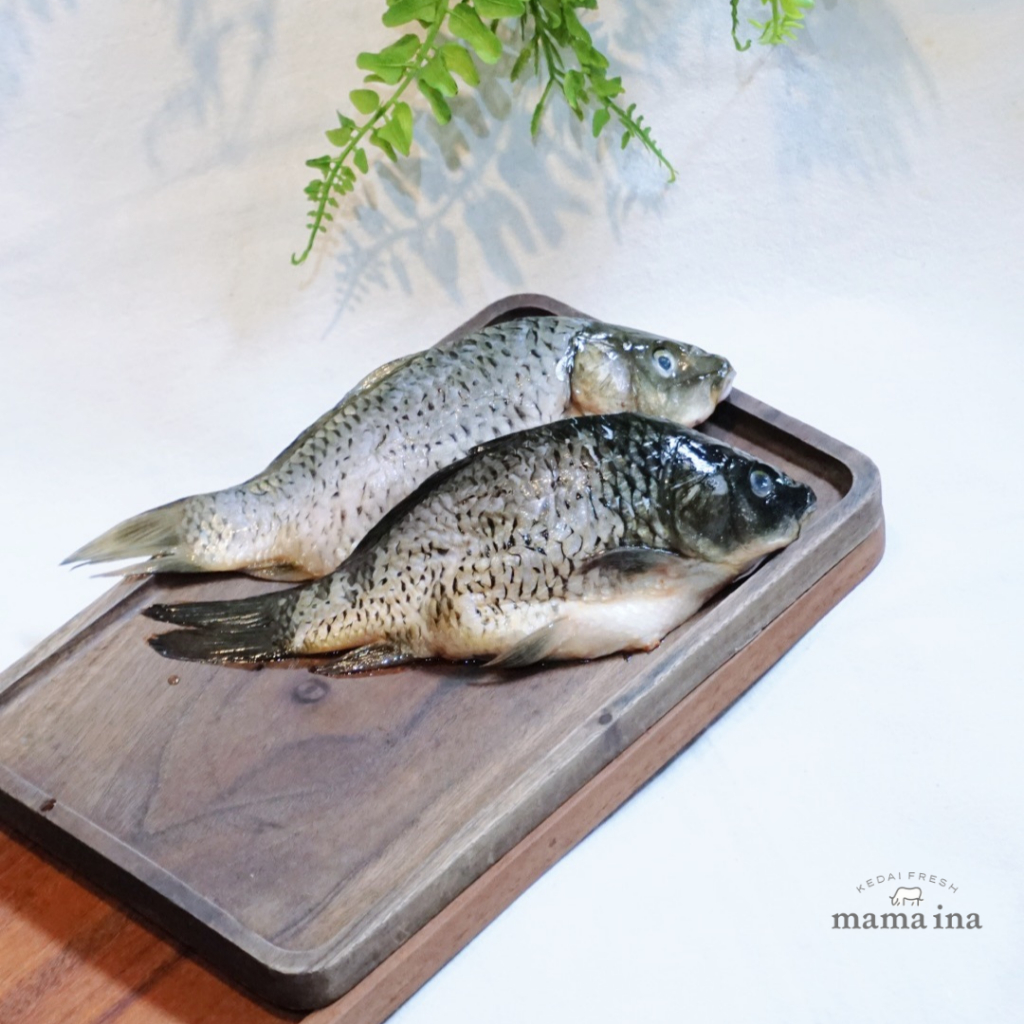 

Ikan Mas 500g