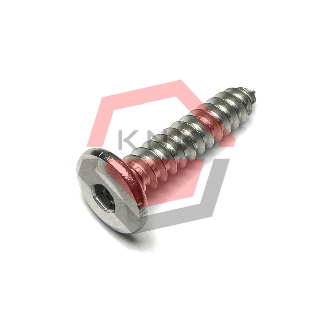 SKRUP BOX FILTER 5x25 STAINLESS STEEL CHAMFERED HEAD