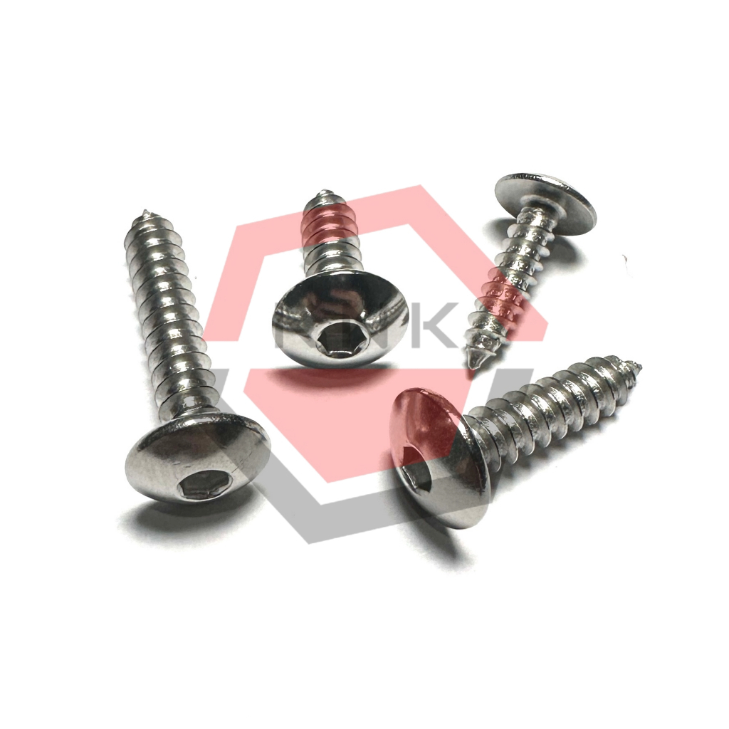 SKRUP BOX FILTER 5x25 STAINLESS STEEL BIG PAN HEAD