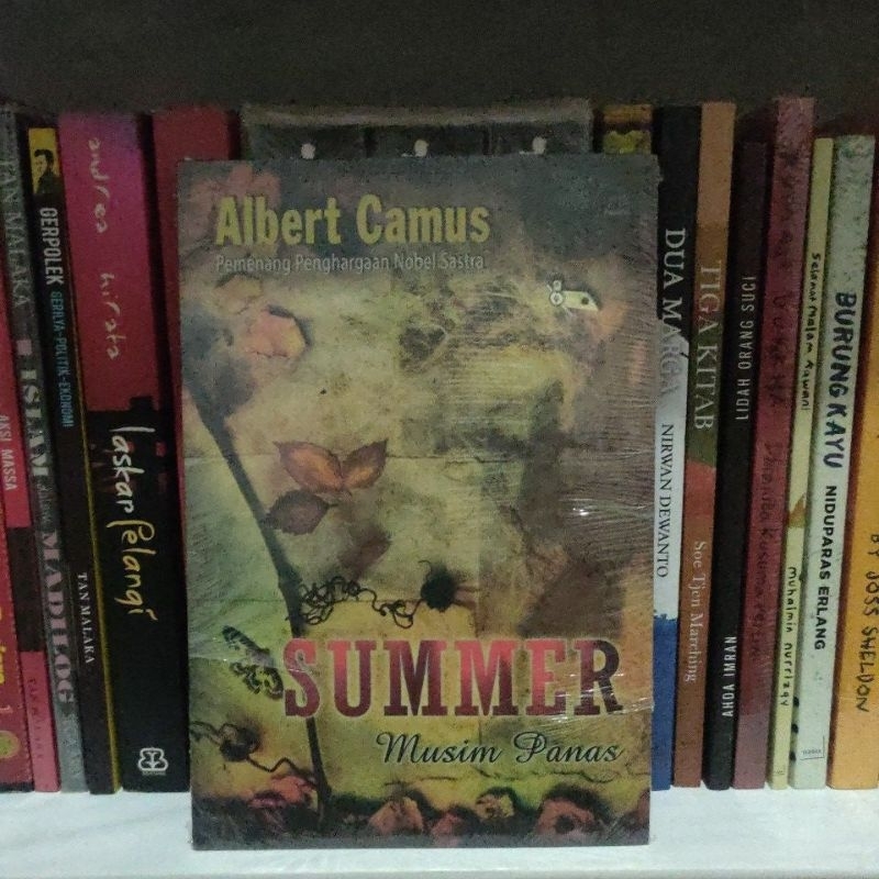 Summer - Albert Camus