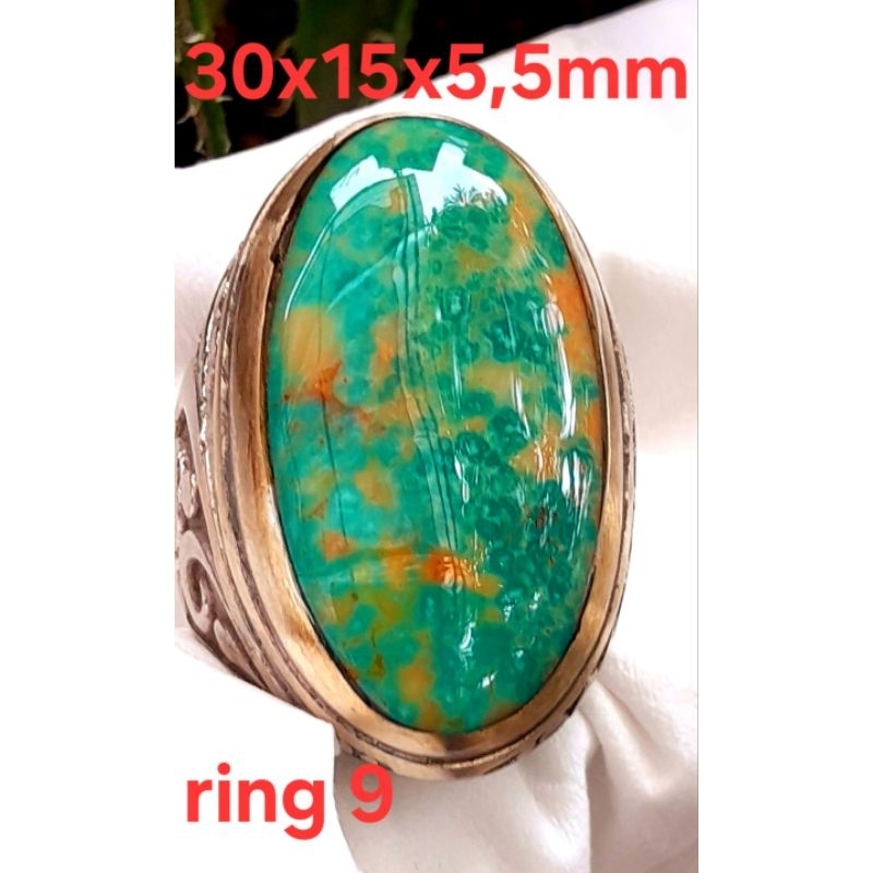 Pirus Persia Neyshabur Hijau urat emas size jumbo