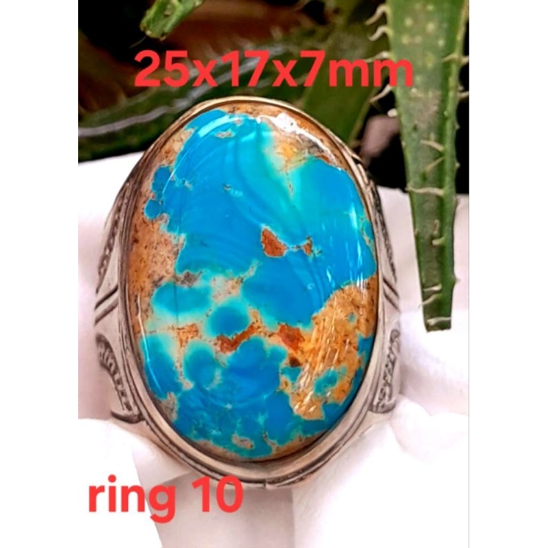 Pirus Persia lawasan biru tosca ceplok kuro HQ size jumbo