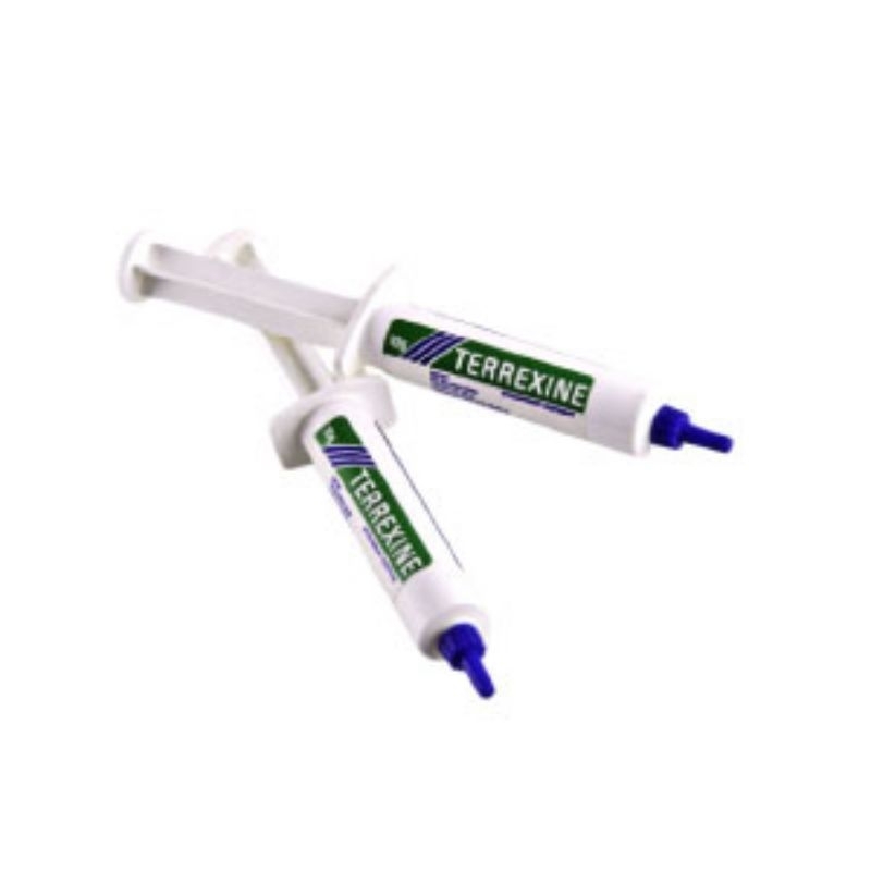 TERREXINE ORIGINAL1 SYRINGE - ObatMastitis Sapi Perah Sorehook Kelinci Hewan Kambing domba