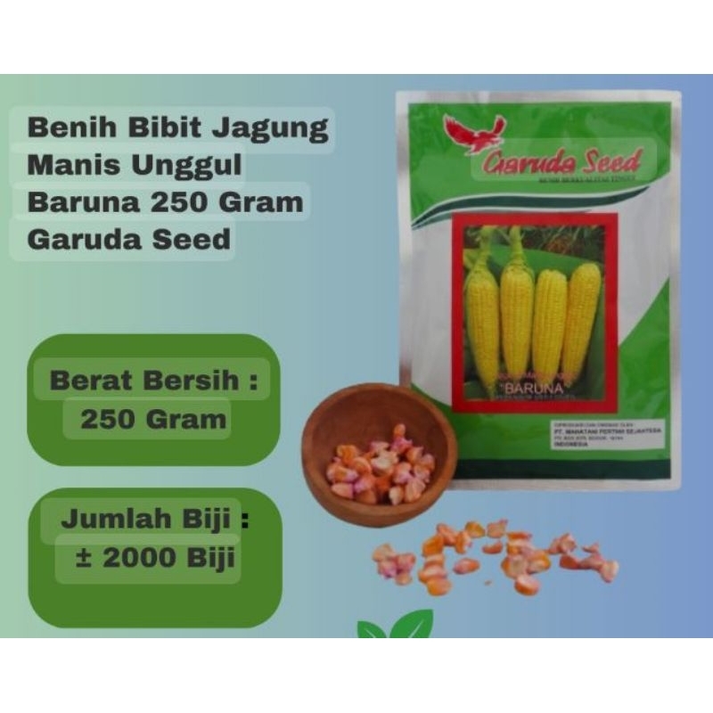 

Bibit jagung garuda seed