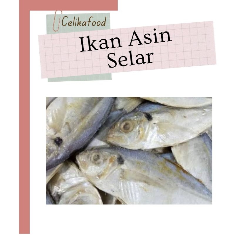 

Ikan Asin Selar 100gr Putih