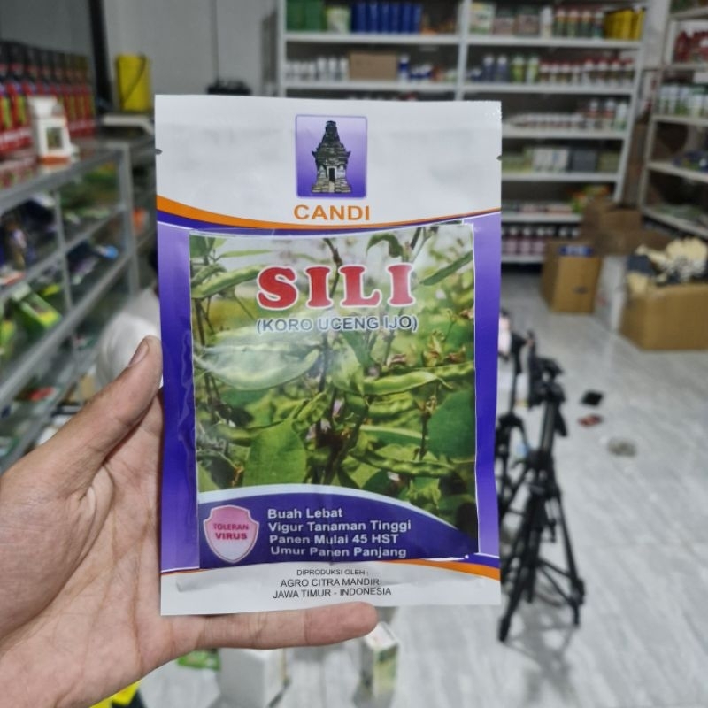 Benih Koro SILI Koro Uceng Ijo 40gr Original Pabrik Buah Lebat