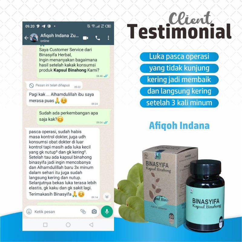 Kapsul Binahong Binasyifa Kapsul Ekstrak Daun Binahong Original