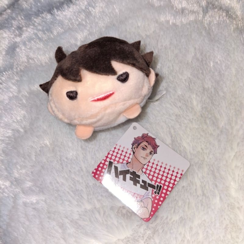 HAIKYUU — Noru Oikawa Tooru Sumeshi