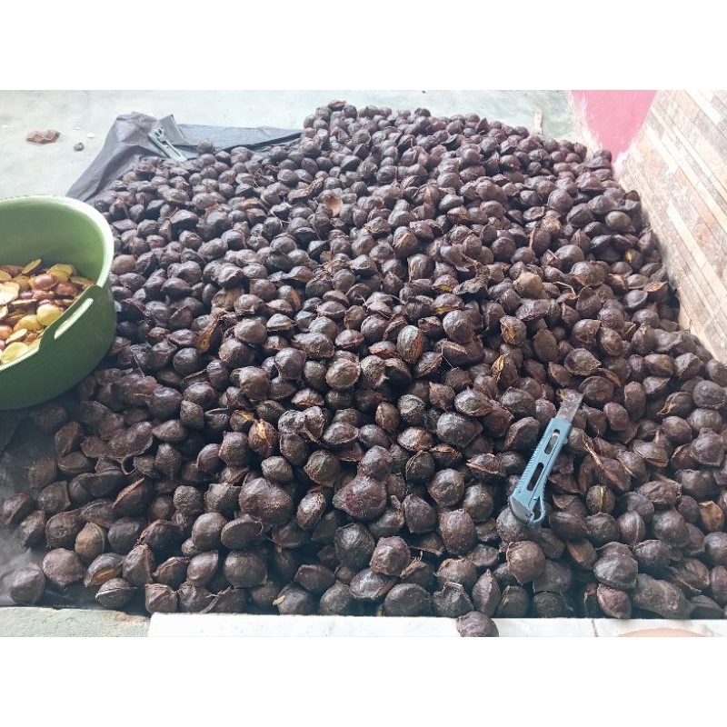 

kerupuk jengkol