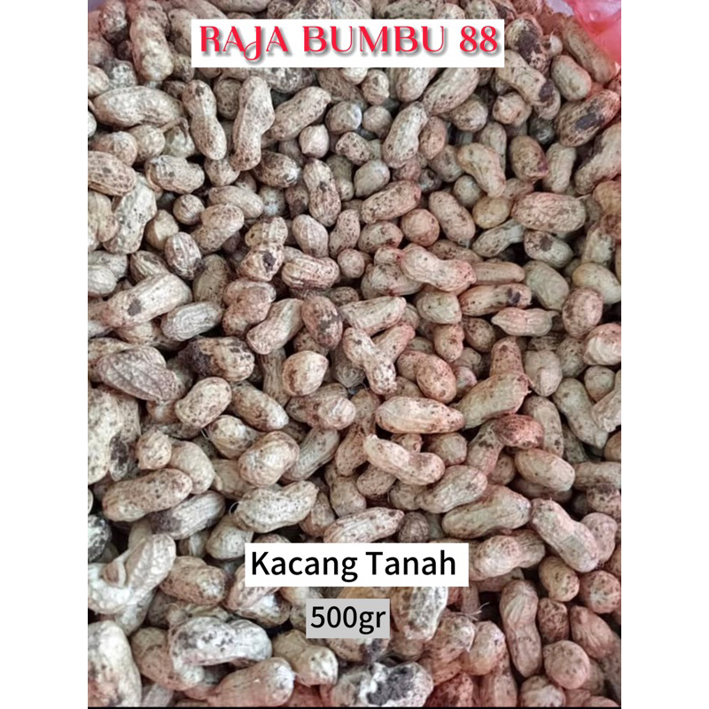 

KACANG TANAH KULIT MENTAH 500gr