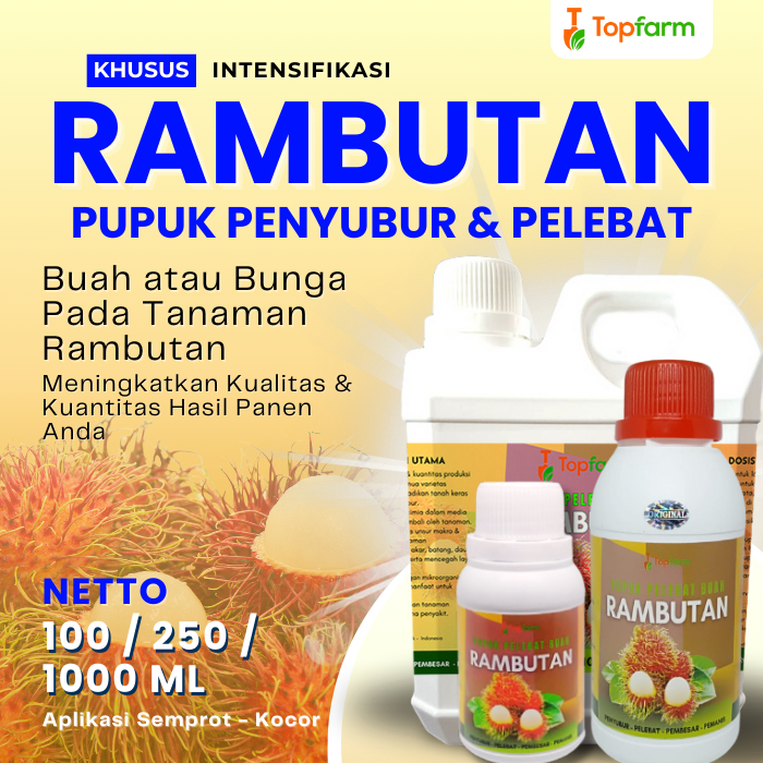 Pupuk Pelebat Buah Rambutan / Pupuk Penyubur Buah Rambutan / Pupuk Booster Buah Rambutan / Pupuk Bua